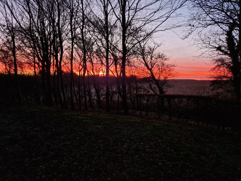 På kanten af Ringkøbing Fjord